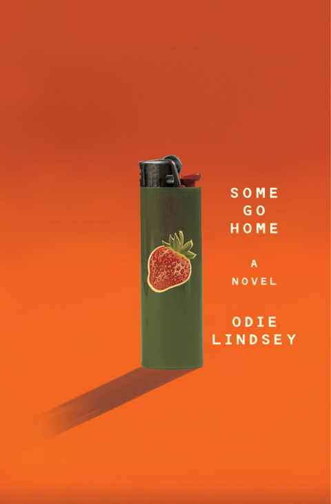 Cover image for book Some Go Home