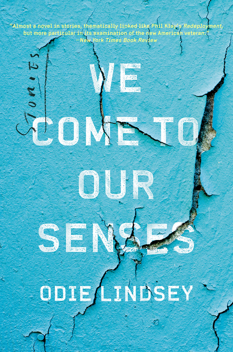 Cover image for book We Come to Our Senses: Stories