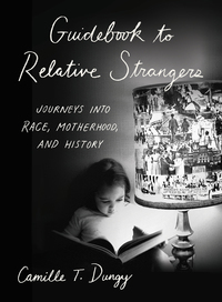 Titelbild: Guidebook to Relative Strangers: Journeys into Race, Motherhood, and History 9780393356083
