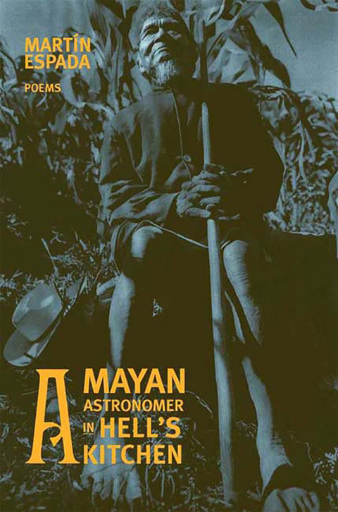 Cover image for book A Mayan Astronomer in Hell's Kitchen
