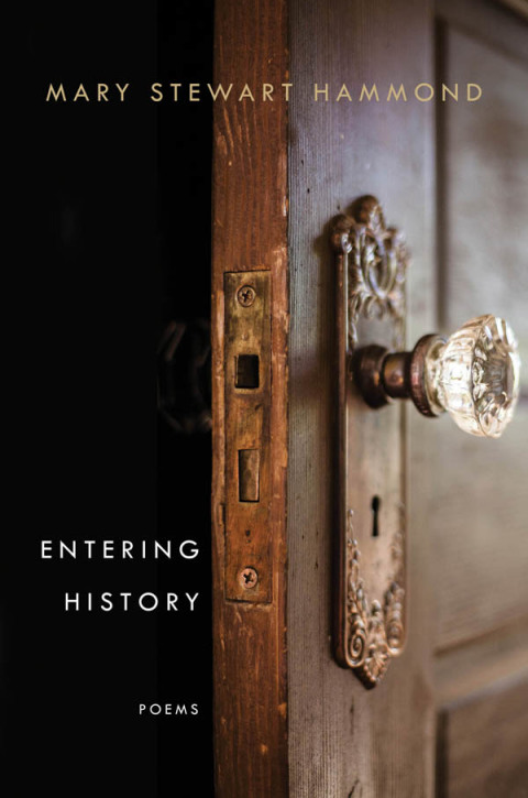 Cover image for book Entering History
