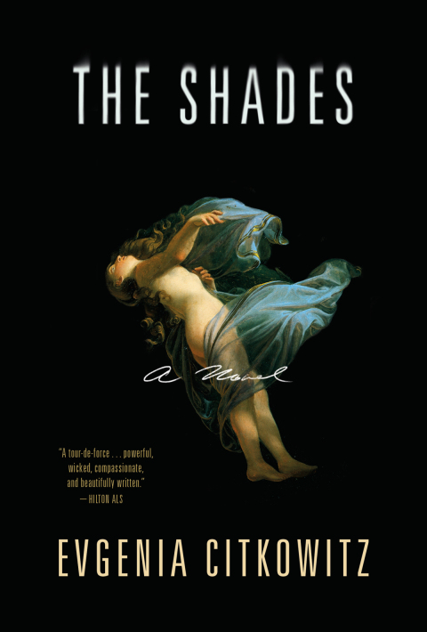 Cover image for book The Shades