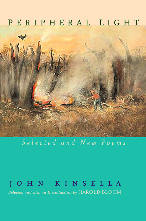 Cover image for book Peripheral Light