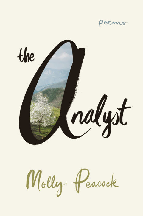 Cover image for book The Analyst