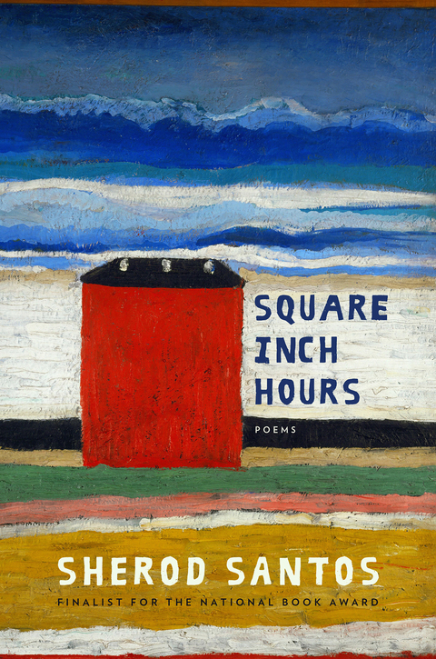 Cover image for book Square Inch Hours