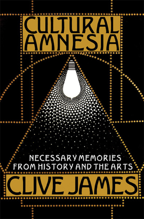 Cover image for book Cultural Amnesia