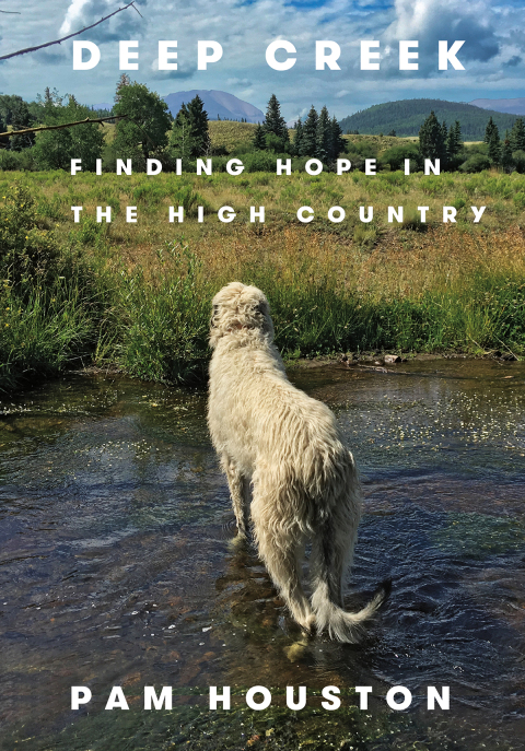 Cover image for book Deep Creek