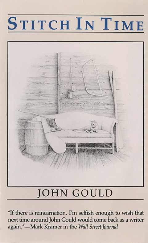 Cover image for book Stitch in Time