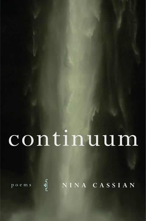 Cover image for book Continuum
