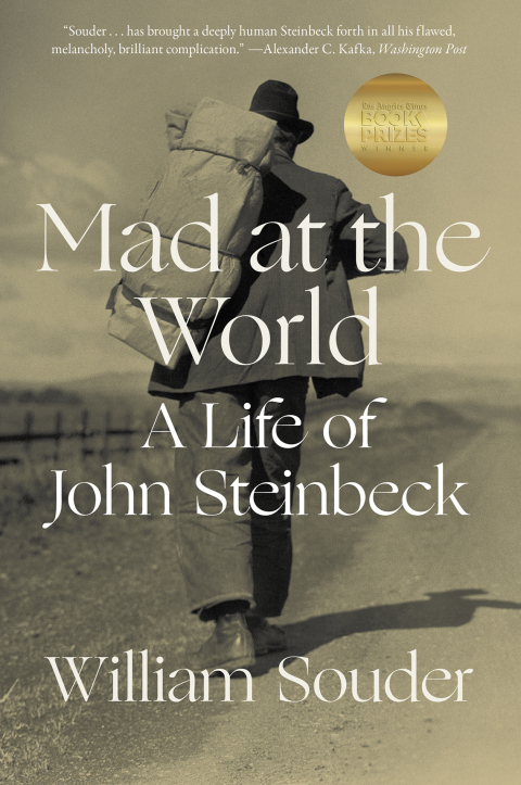 Cover image for book Mad at the World