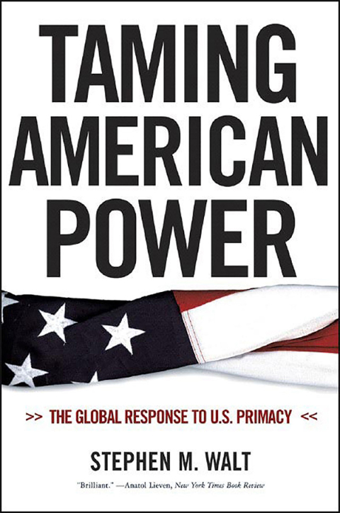 Cover image for book Taming American Power