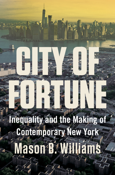Cover image for book City of Fortune