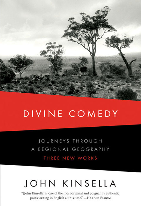 Cover image for book Divine Comedy