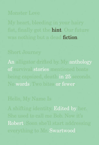 Hint Fiction