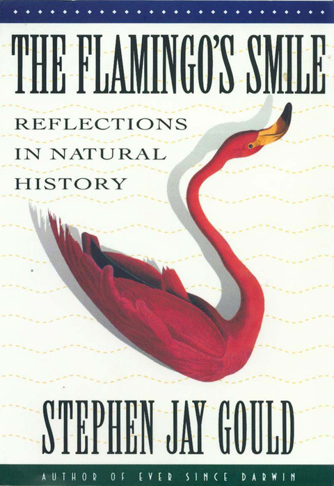 Cover image for book The Flamingo's Smile