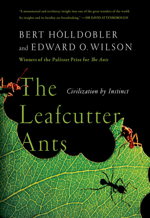 Cover image for book The Leafcutter Ants