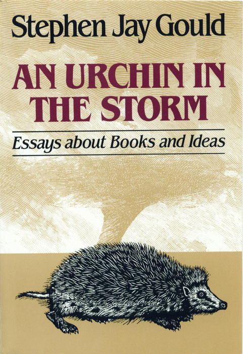 Cover image for book An Urchin in the Storm