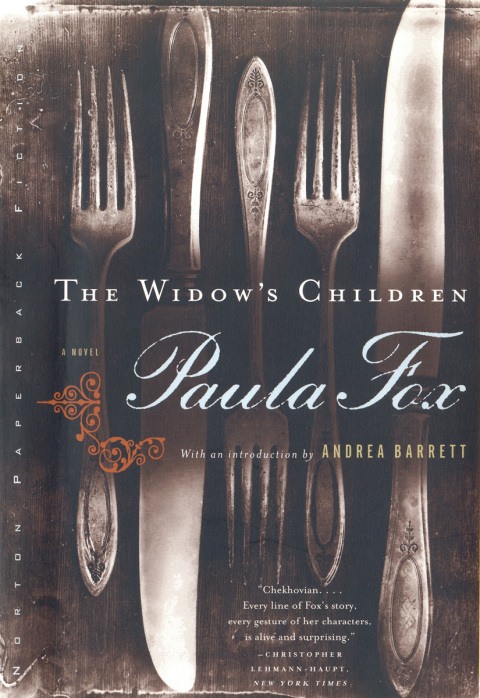 Cover image for book The Widow's Children