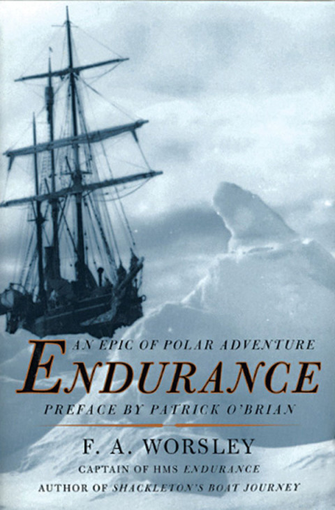 Cover image for book Endurance