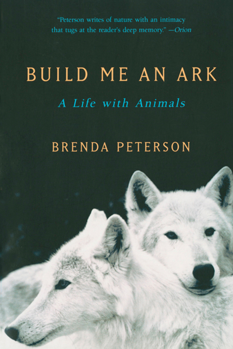 Cover image for book Build Me an Ark