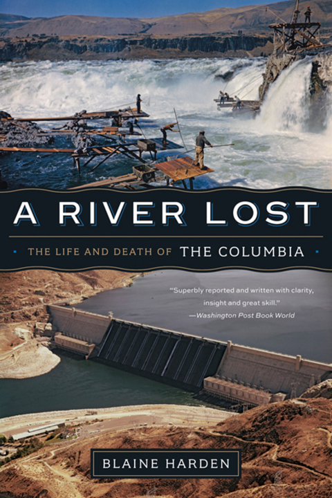 Cover image for book A River Lost