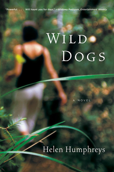 Cover image for book Wild Dogs: A Novel
