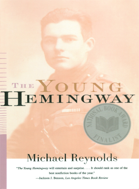 Cover image for book The Young Hemingway