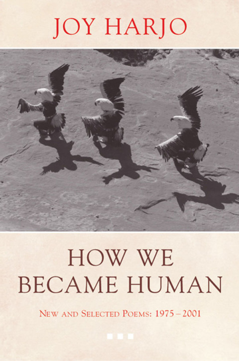 Cover image for book How We Became Human