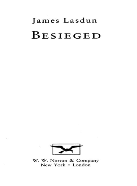 Cover image for book Besieged