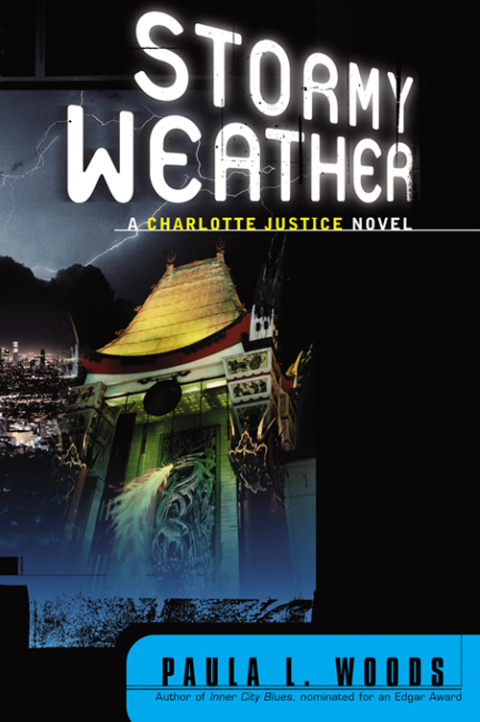 Cover image for book Stormy Weather