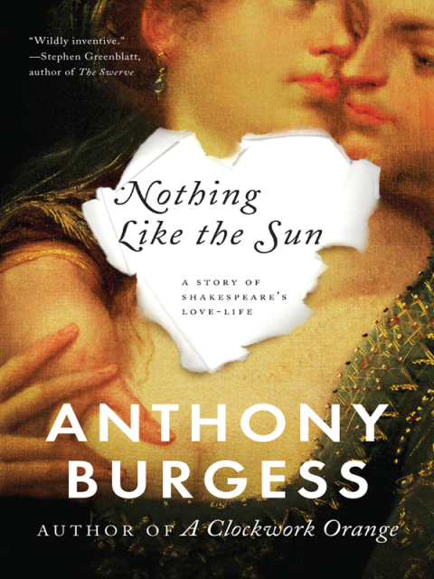 Cover image for book Nothing Like the Sun