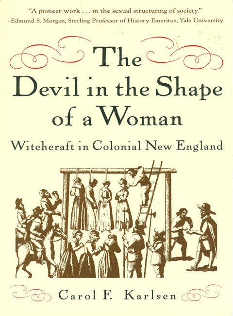 Cover image for book The Devil in the Shape of a Woman