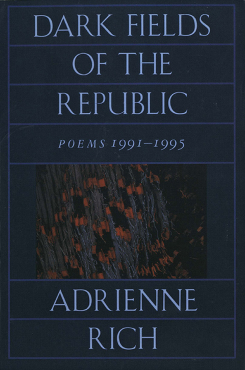 Cover image for book Dark Fields of the Republic