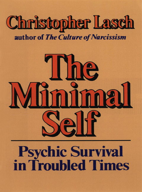 Cover image for book The Minimal Self