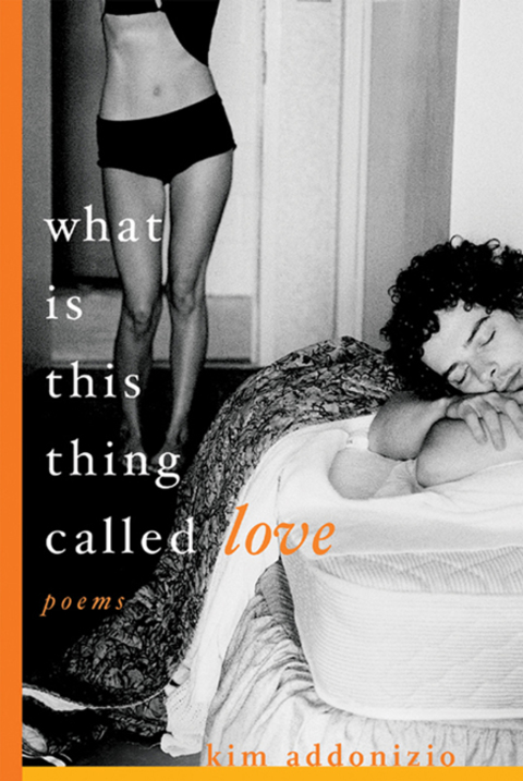 Cover image for book What Is This Thing Called Love