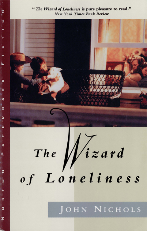 Cover image for book The Wizard of Loneliness