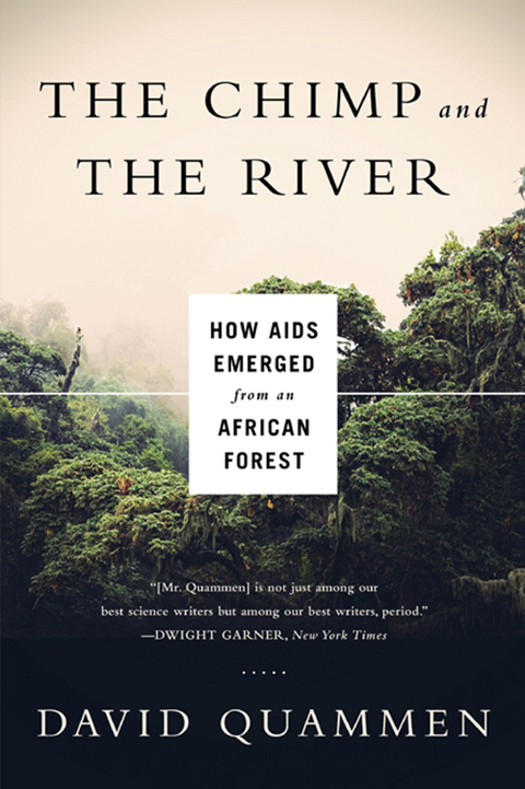 Cover image for book Chimp & the River