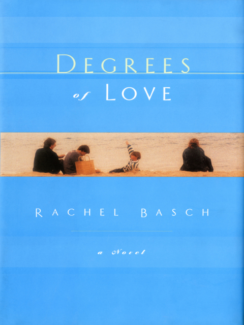 Cover image for book Degrees of Love