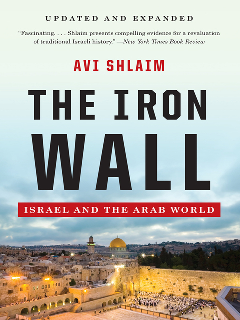 Cover image for book The Iron Wall