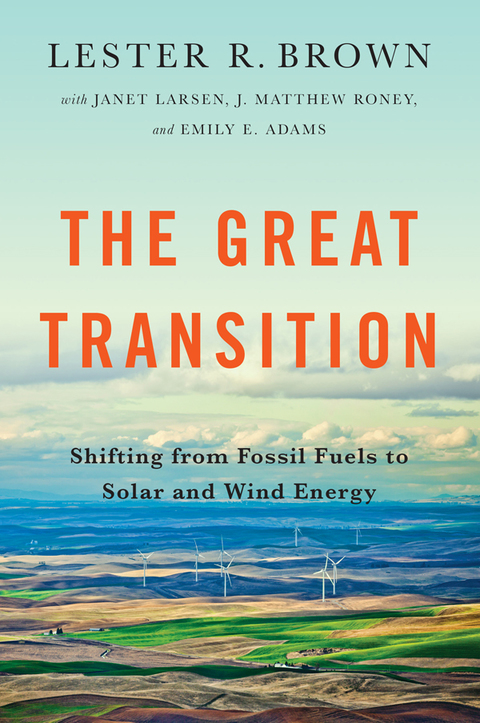 Cover image for book The Great Transition