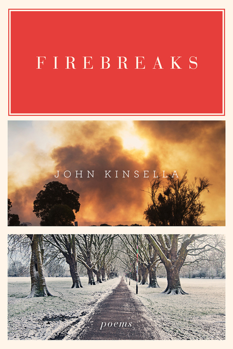 Cover image for book Firebreaks