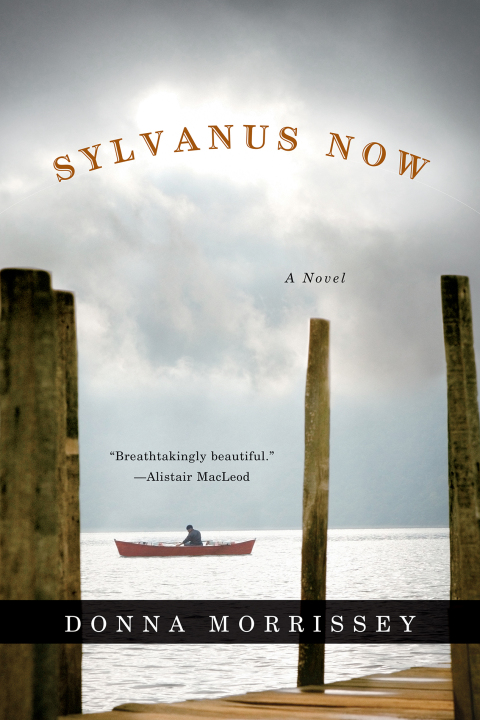 Cover image for book Sylvanus Now