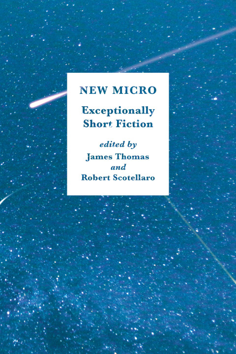 Cover image for book New Micro