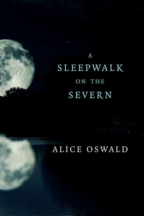 Cover image for book A Sleepwalk on the Severn