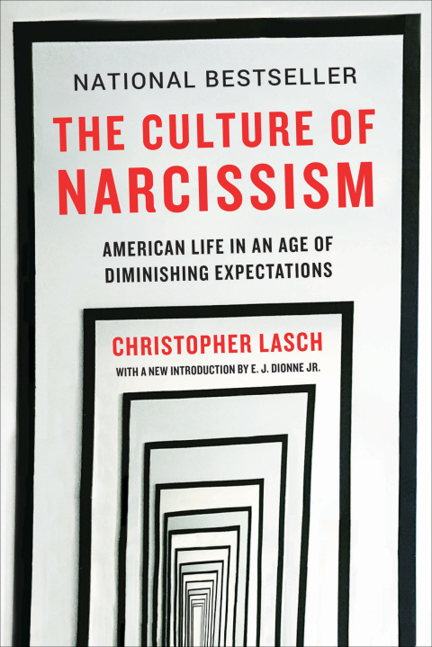 Cover image for book The Culture of Narcissism