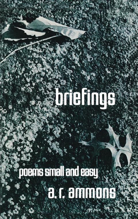 Cover image for book Briefings