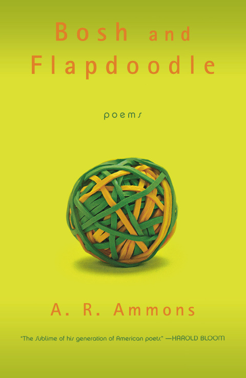 Cover image for book Bosh and Flapdoodle