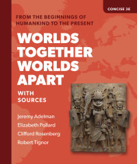Cover image: Worlds Together  Worlds Apart: A History of the World from the Beginnings of Humankind to the Present (Concise) 3rd edition 9780393532029
