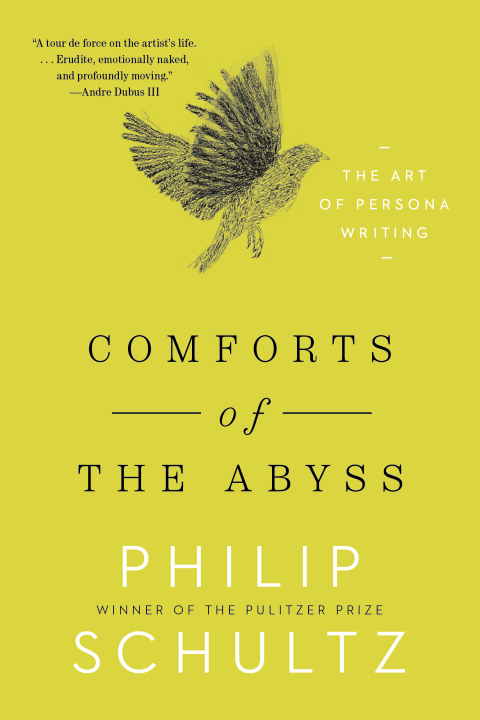 Cover image for book Comforts of the Abyss