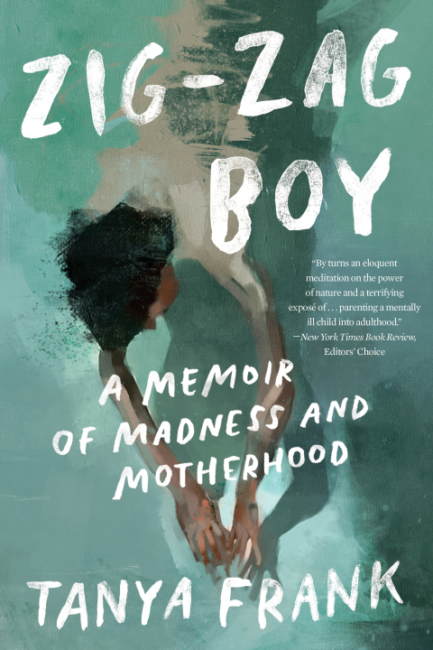 Cover image for book Zig-Zag Boy